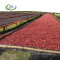 Shade Cloth For Coffee Beans Drying Bed